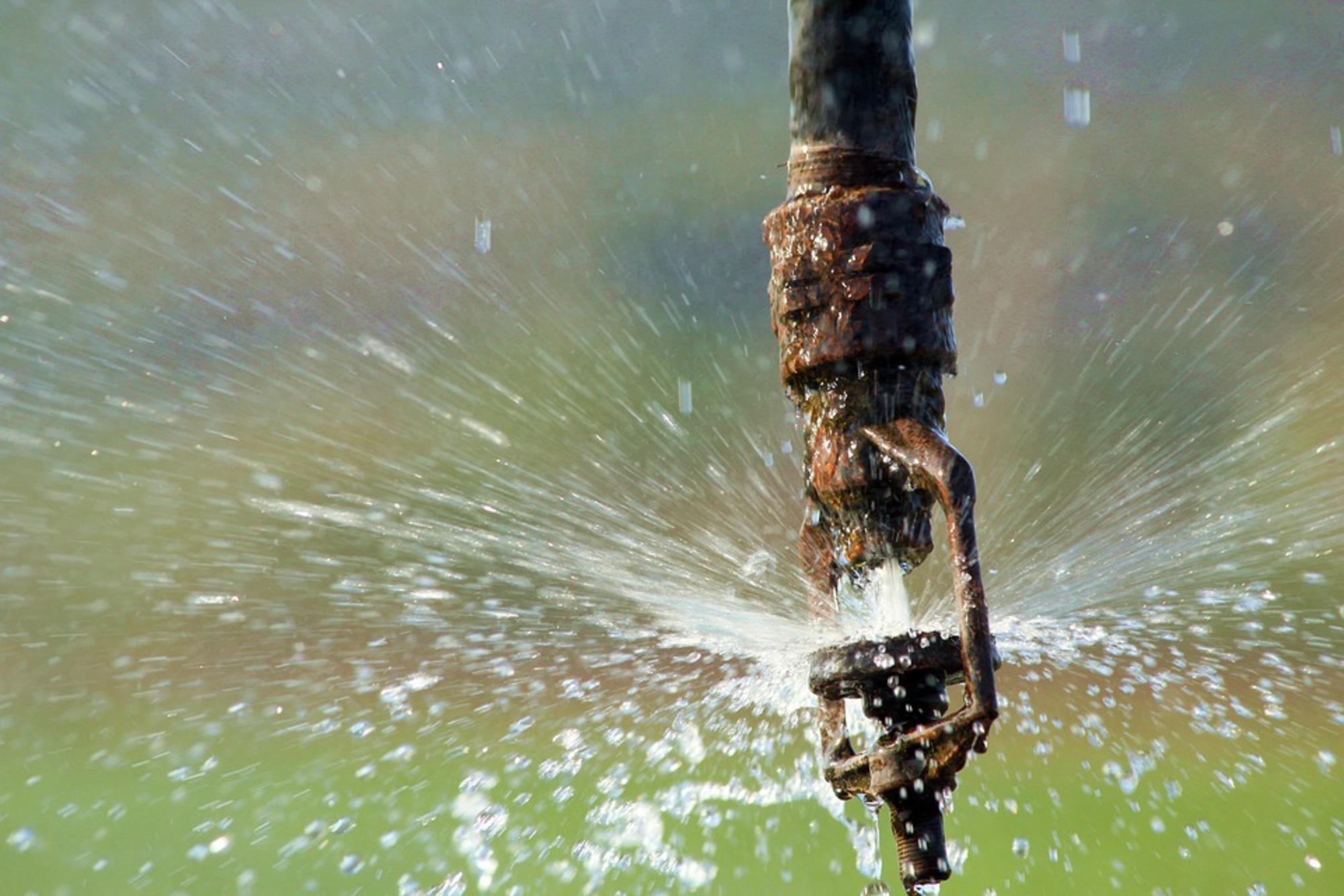 Regadío Ismael Cárdenas